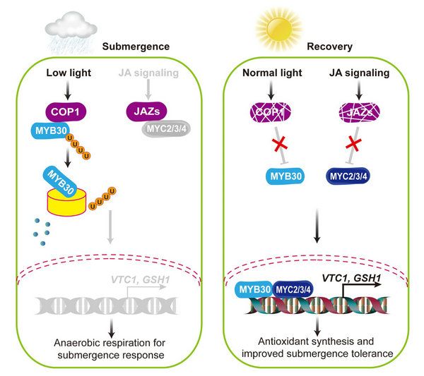 B2F302632B946195DF9100EC14B_60AF772D_C3ED B2F302632B946195DF9100EC14B_60AF772D_C3ED