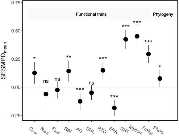 ��ҳ|ng������Ϸ�й����Źٷ���վ