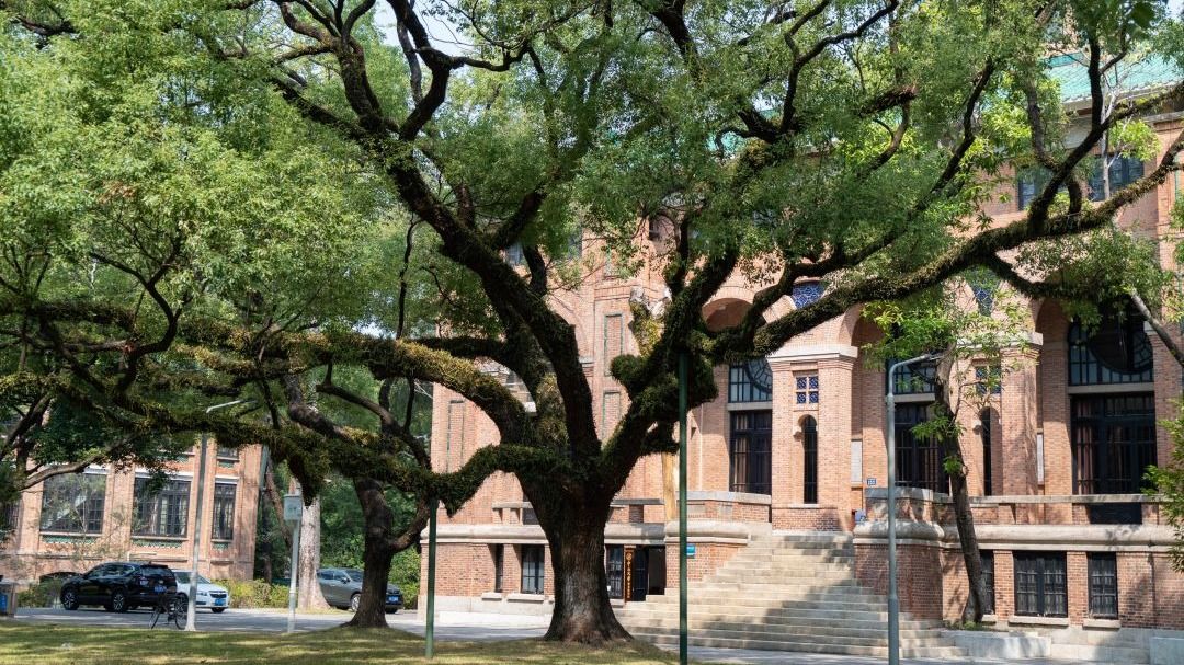 ��ҳ|ng������Ϸ�й����Źٷ���վ