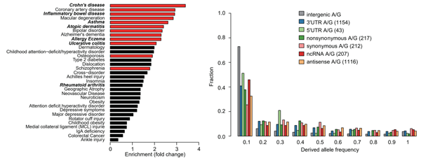��ҳ|ng������Ϸ�й����Źٷ���վ