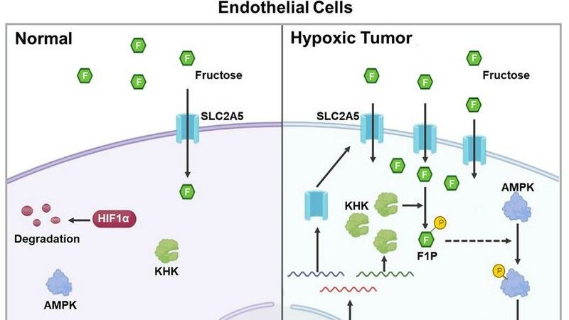 ��ҳ|ng������Ϸ�й����Źٷ���վ