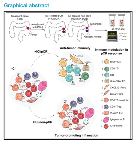 6D78F4F4BE895655A5B66B01CA8_8124AD97_E4D1