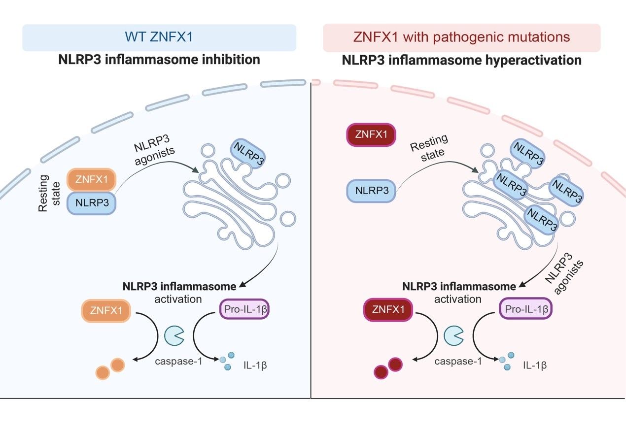 261A05113EA8A7A6C512E6C1977_4D661781_19F93