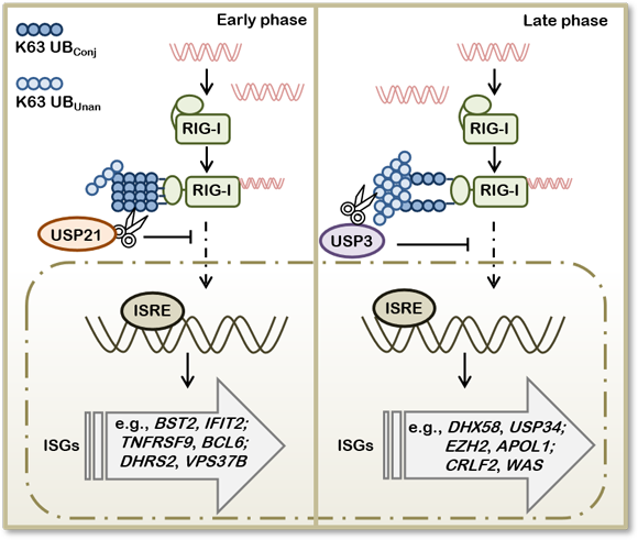 ��ҳ|ng������Ϸ�й����Źٷ���վ