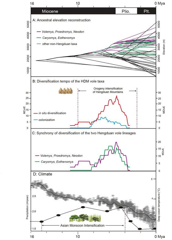 37440492DC323DA1D9D308FA386_1337D3B5_12C18