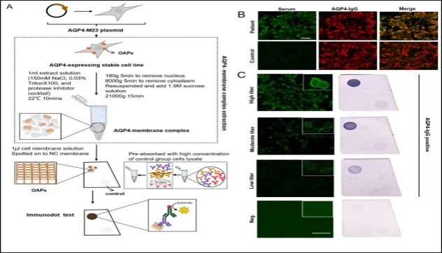 A83BF252EE38A05A734908AF328_7A3B2079_A5CA