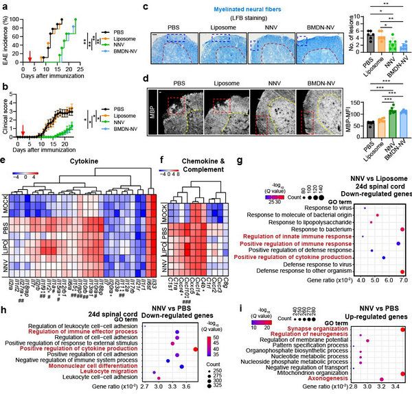 E999DFCDC01B7A08BDED2351F03_8A3BCD39_1A0E4