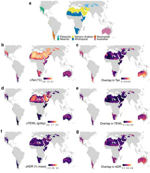 D6684754FC5E510BA03836743B9_02B00866_DAB3