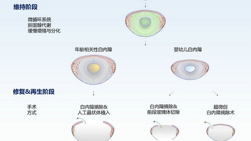 ��ҳ|ng������Ϸ�й����Źٷ���վ