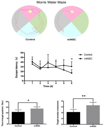 ��ҳ|ng������Ϸ�й����Źٷ���վ