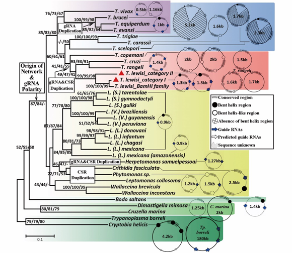 ��ҳ|ng������Ϸ�й����Źٷ���վ