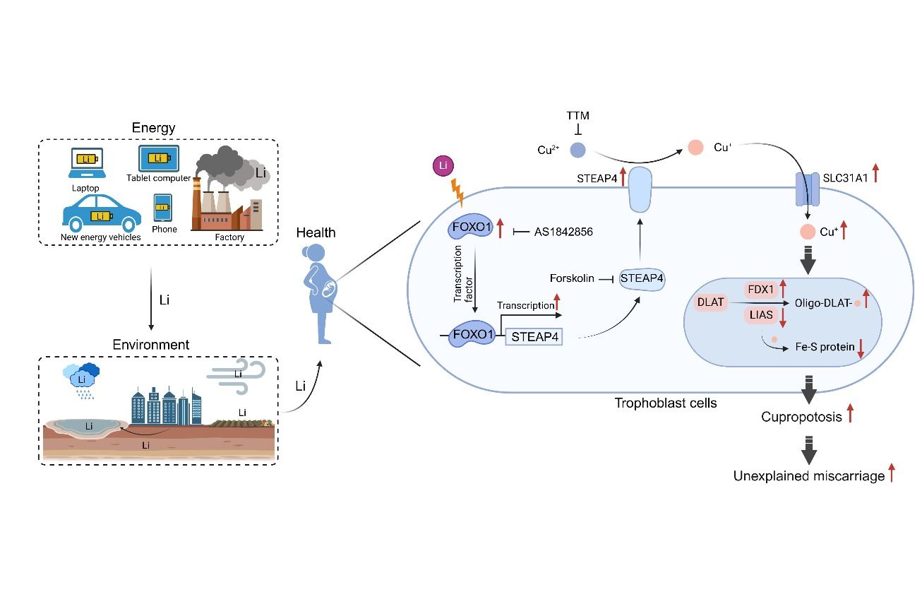 ��ҳ|ng������Ϸ�й����Źٷ���վ