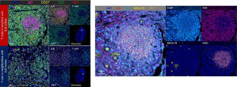 7D23F5925C7F0B68D972CD57440_AD7F5D8A_F25E