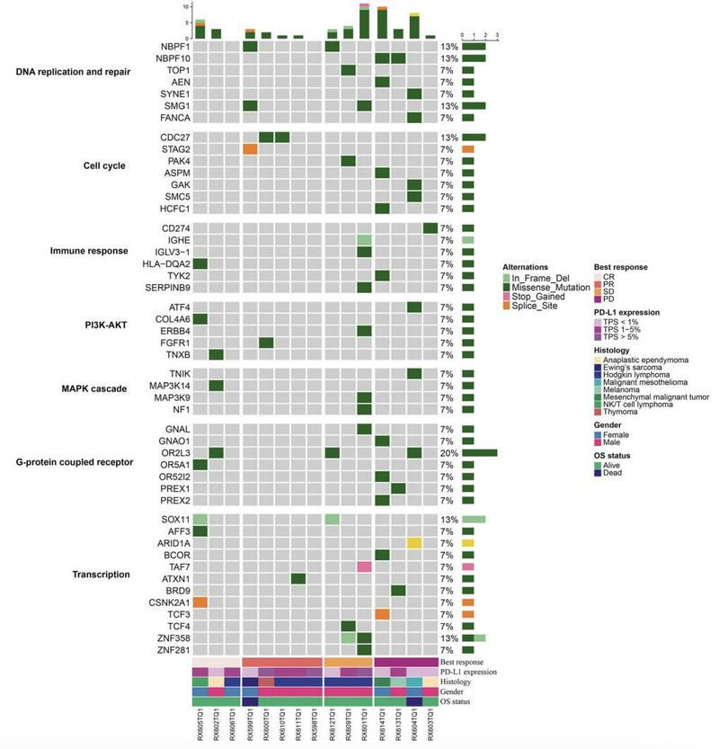 5566913A5204A76627AE3ABD69B_B460629D_15B8A