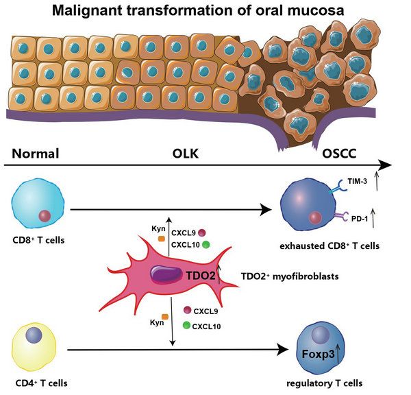 8841A4CA8D861582D2883F36F2F_5E1E4BD9_ED26