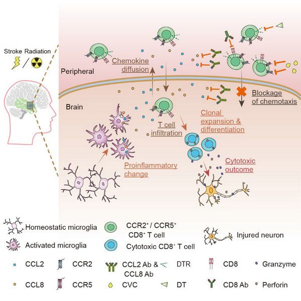 A6EB8C6B3A1D56BABA1A89A63C8_C8B7D731_F43F A6EB8C6B3A1D56BABA1A89A63C8_C8B7D731_F43F