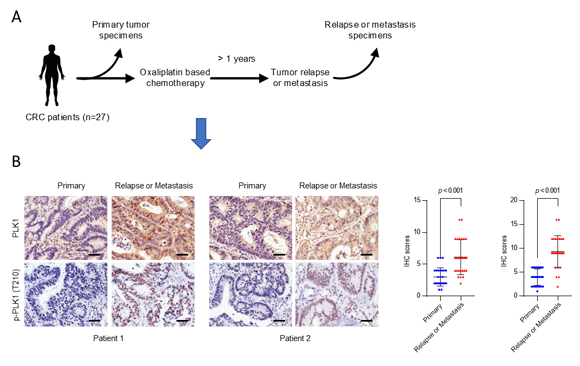 ��ҳ|ng������Ϸ�й����Źٷ���վ