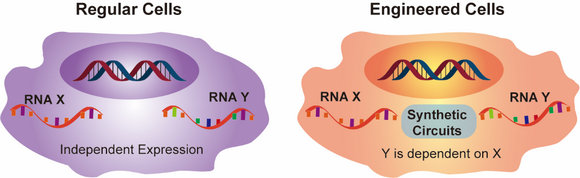 ��ҳ|ng������Ϸ�й����Źٷ���վ