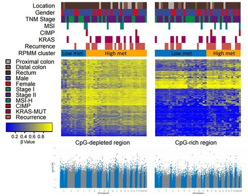 6167CDC62E77D1DD066F103597D_07DD6892_12416 6167CDC62E77D1DD066F103597D_07DD6892_12416