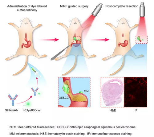 ��ҳ|ng������Ϸ�й����Źٷ���վ