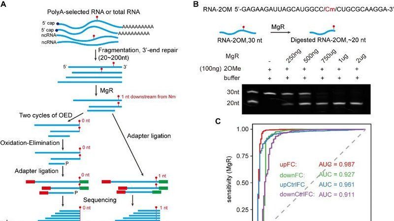 ��ҳ|ng������Ϸ�й����Źٷ���վ