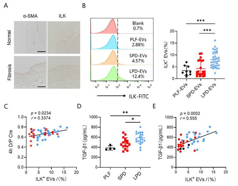 DE74622D3B1CE1775E5F316E663_BBB40E3E_F79C