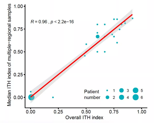 ��ҳ|ng������Ϸ�й����Źٷ���վ