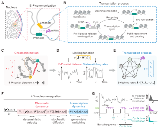 ��ҳ|ng������Ϸ�й����Źٷ���վ