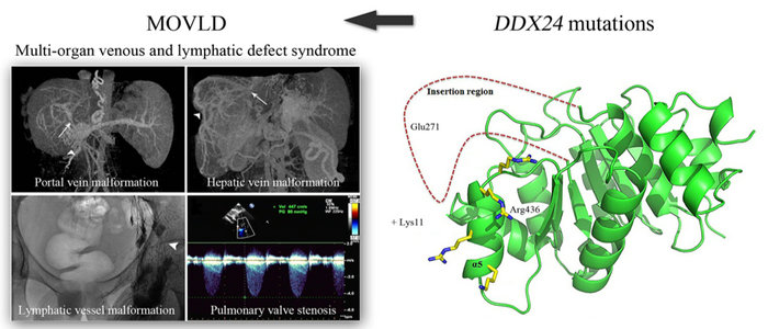 ��ҳ|ng������Ϸ�й����Źٷ���վ