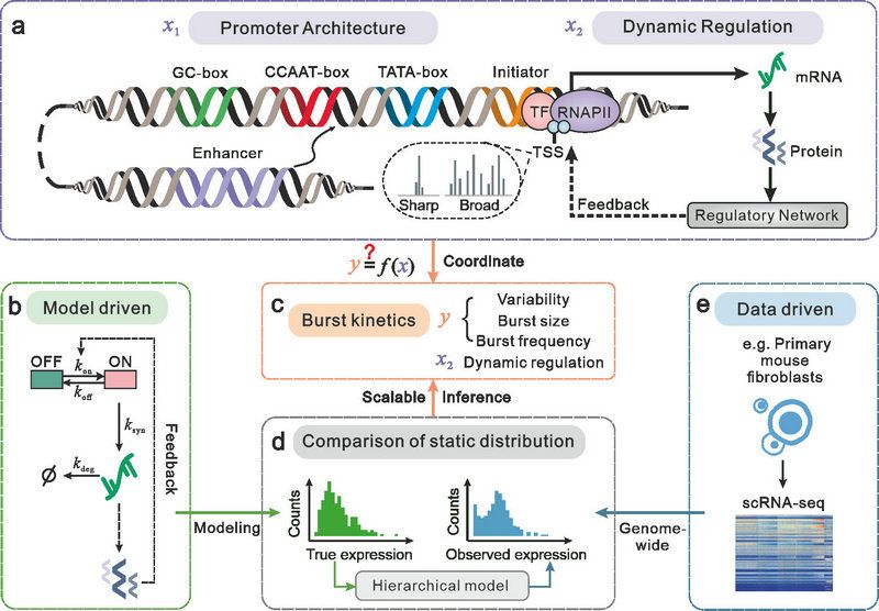 5618F0988B8E03DC9B510DB0F7C_549D12D6_1655A 5618F0988B8E03DC9B510DB0F7C_549D12D6_1655A