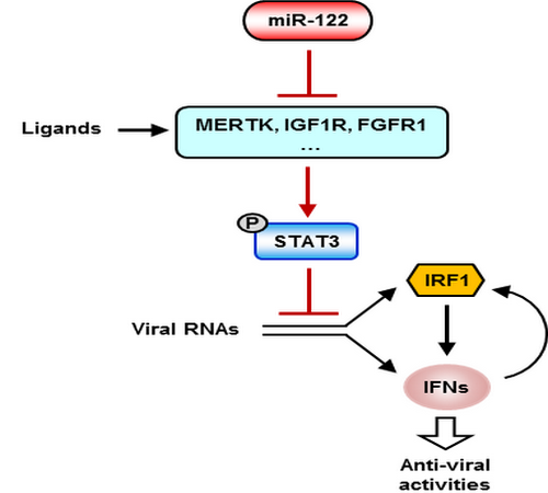��ҳ|ng������Ϸ�й����Źٷ���վ