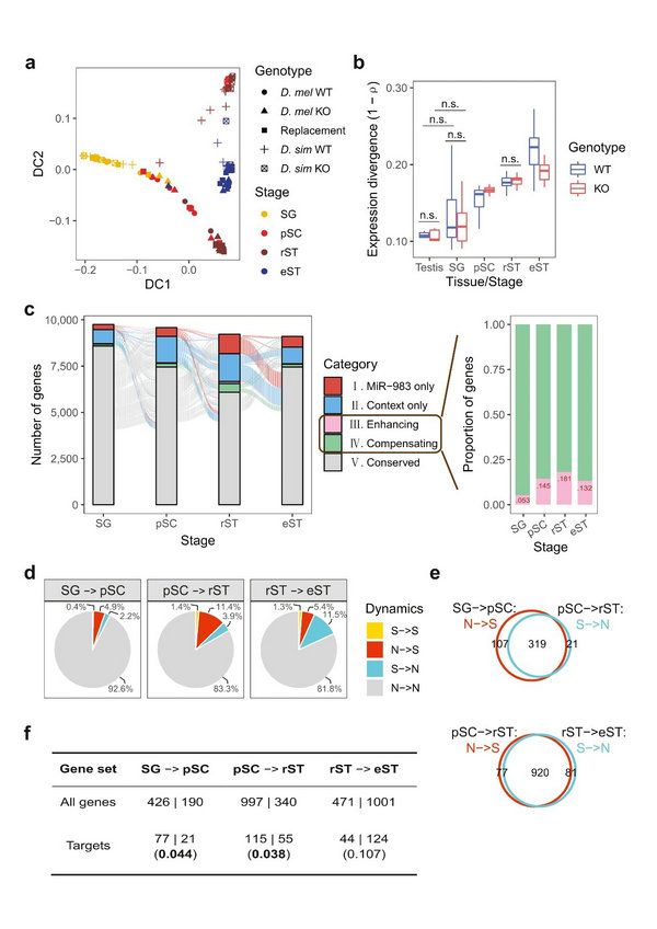 E5E38E1D966EB4F0C97FCC87696_DD30EA0F_112C0