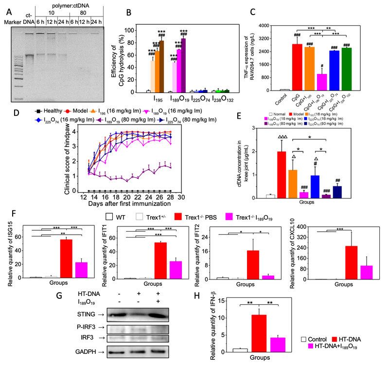 0A57A48D698010FE805DE2268CD_1BDA0195_196CB
