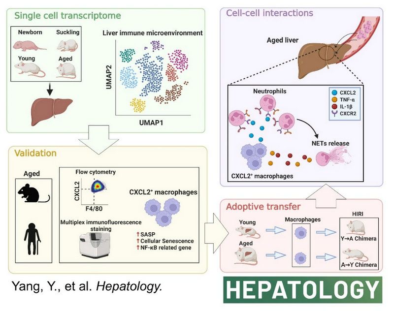 6867D3B361E57C737467BCF14D6_FDD22FA2_14BA2