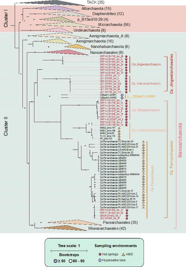 DF3110B0E35BEC9904EC8DD3384_E797DBD6_161B1