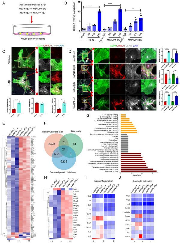 FDDF2DF576AA31A82B085EE4E89_99310682_19AEA