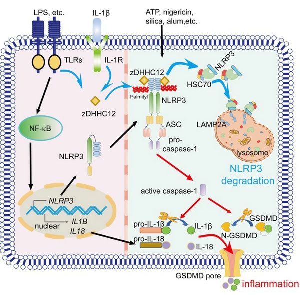 3B2B7F7DD903C9981725AE202DB_9064CC9A_155E9