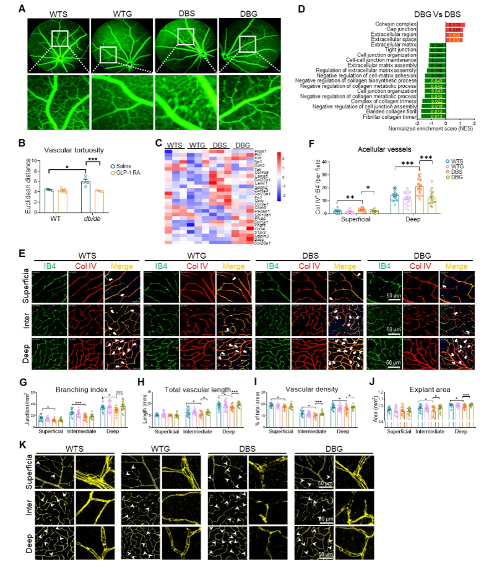 A5C7620528B7A2906206EA6D0A1_4FACADD0_126171