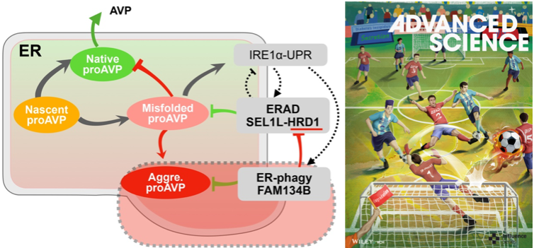 9204A16BE3B8EC2D160AC42669E_9CDA2C5F_674A9