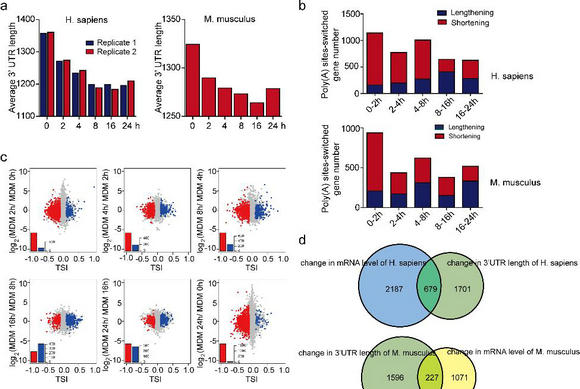 ��ҳ|ng������Ϸ�й����Źٷ���վ