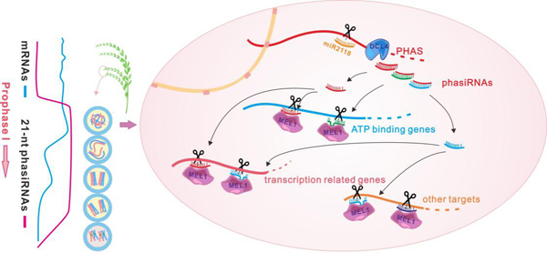 ��ҳ|ng������Ϸ�й����Źٷ���վ