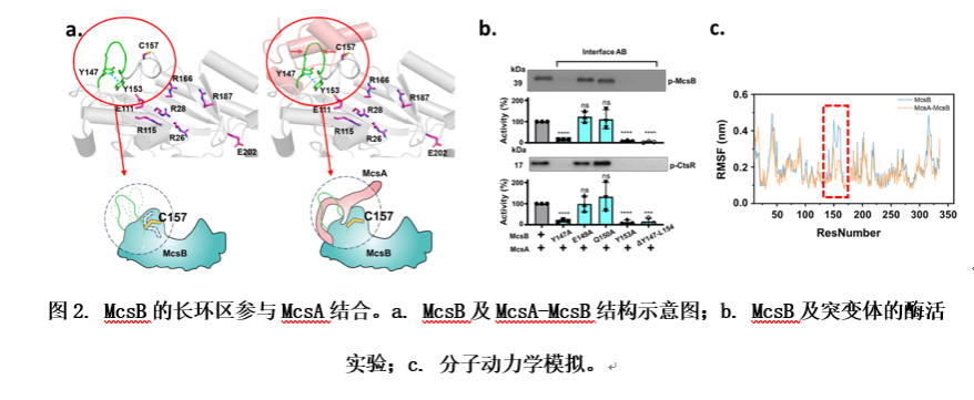 D90196CD50AB1B8182F7D002214_EC75FEFB_21CF3