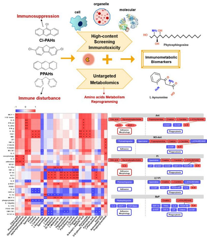 111BC901D7221302FCA1F6EC8D9_EE611267_1CAF7