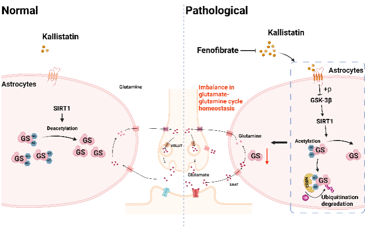 40C61B0E43128957045C3DD21EE_D8A11B9E_FE50