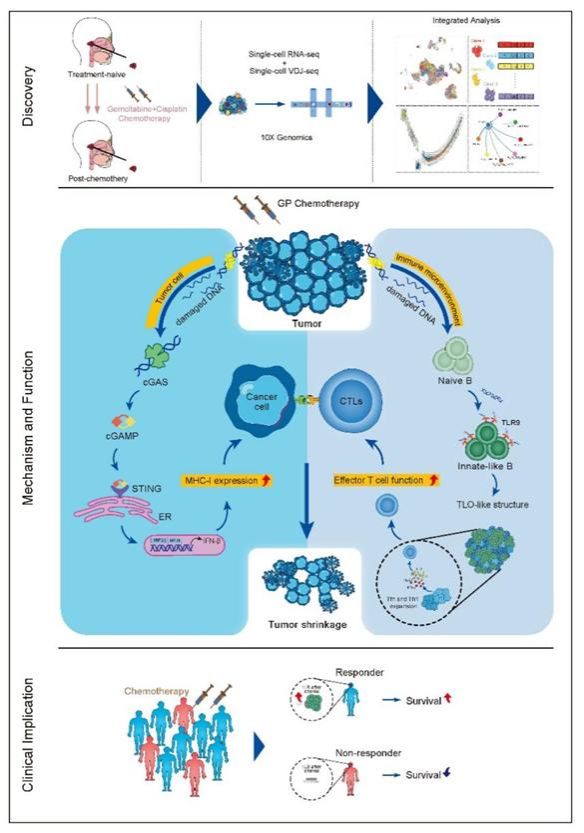 38552ACB1B2EDF1E7CF26713A17_D578FC6E_10501