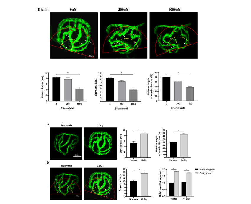 ��ҳ|ng������Ϸ�й����Źٷ���վ