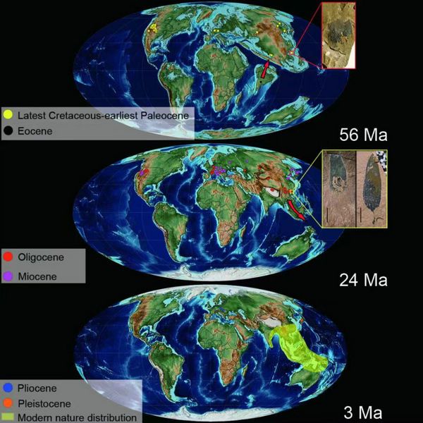 04585B9ED8261B2A324EA6B2A2A_A4CD6F94_12612