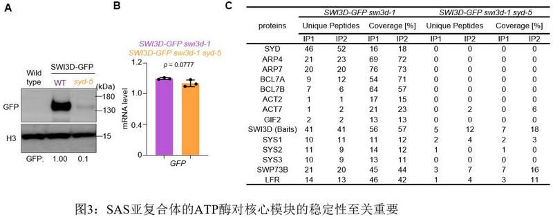 C211F074E9D3F94B7B5AC2E3FA4_5CA2A313_AE68 C211F074E9D3F94B7B5AC2E3FA4_5CA2A313_AE68
