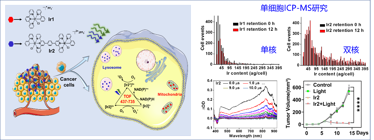 ��ҳ|ng������Ϸ�й����Źٷ���վ