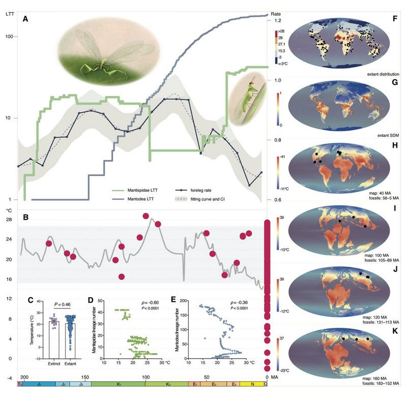 BE50F8D6F322967AE260E79BA6E_BBB79A92_16E54